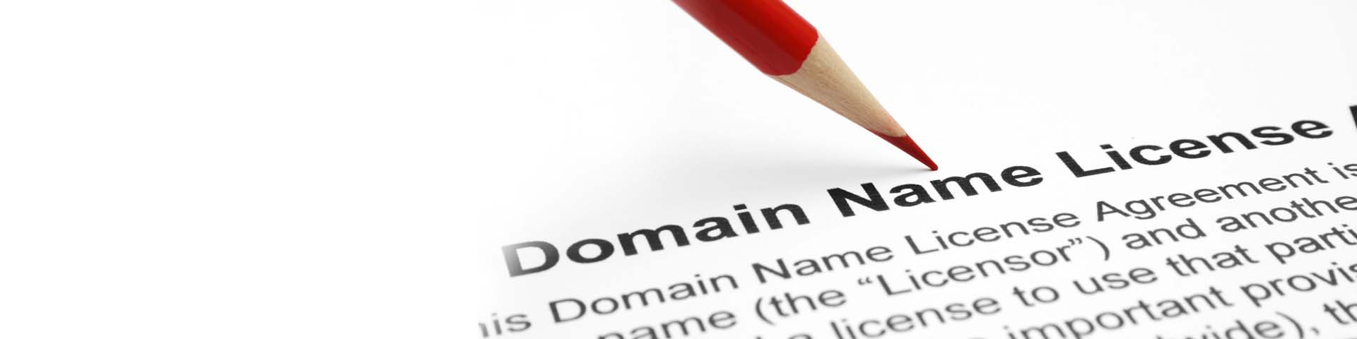 PMZ Domain Name Registration